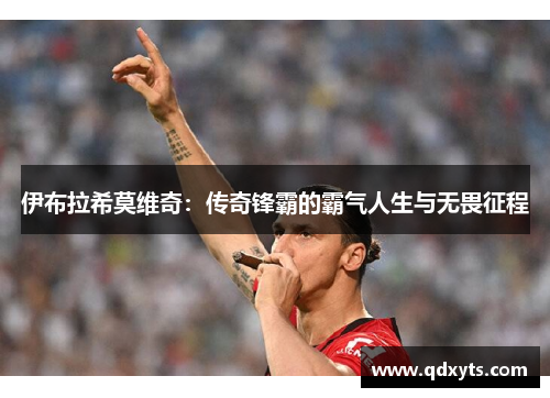 伊布拉希莫维奇：传奇锋霸的霸气人生与无畏征程