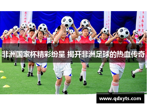 非洲国家杯精彩纷呈 揭开非洲足球的热血传奇